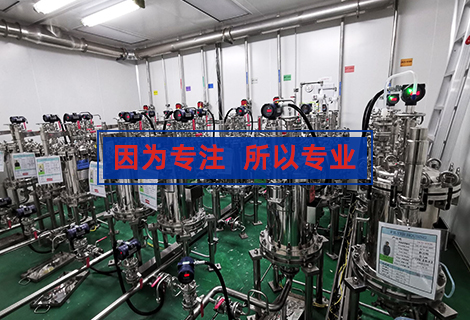 拋光級濾芯機